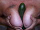 cetriolo curioso