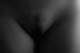 Pussy