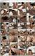 Foto privata di sexybaby12