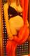 Foto privata di Blonde_sex